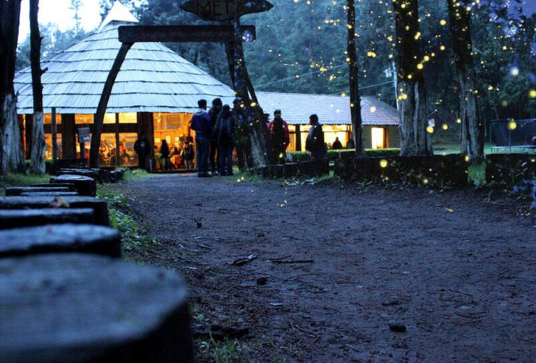 7  TIPS PARA HACER TU VIAJE A LAS LUCIERNAGAS