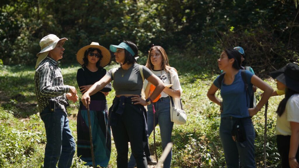 WhatsApp Image 2025-12-30 at 12.02.32 (1)