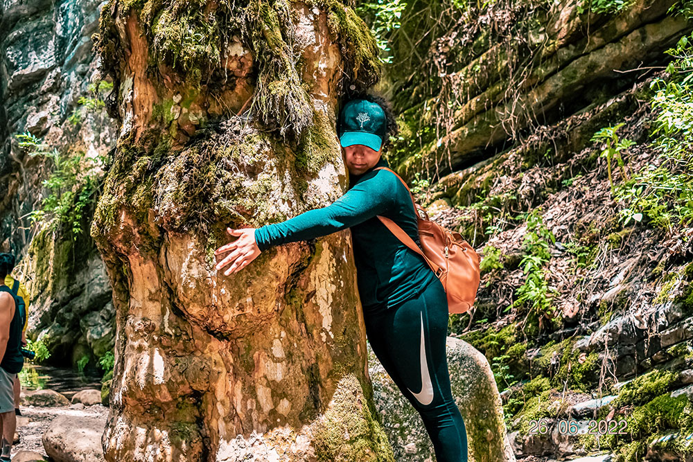 SIERRA GORDA NATURAL