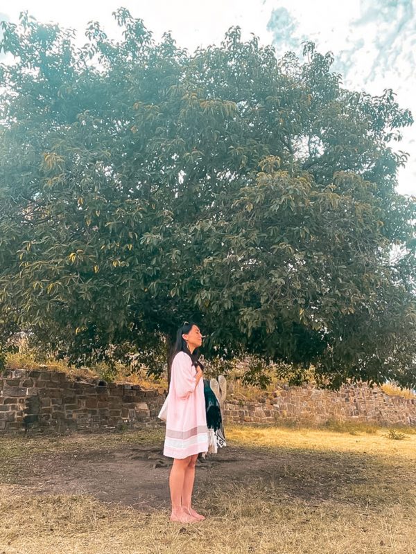 Descalza-monte-Alban-galeria-carrusel_