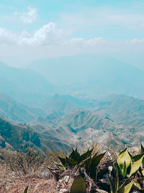 Mirador-4-palos-7-carrusel-galeria