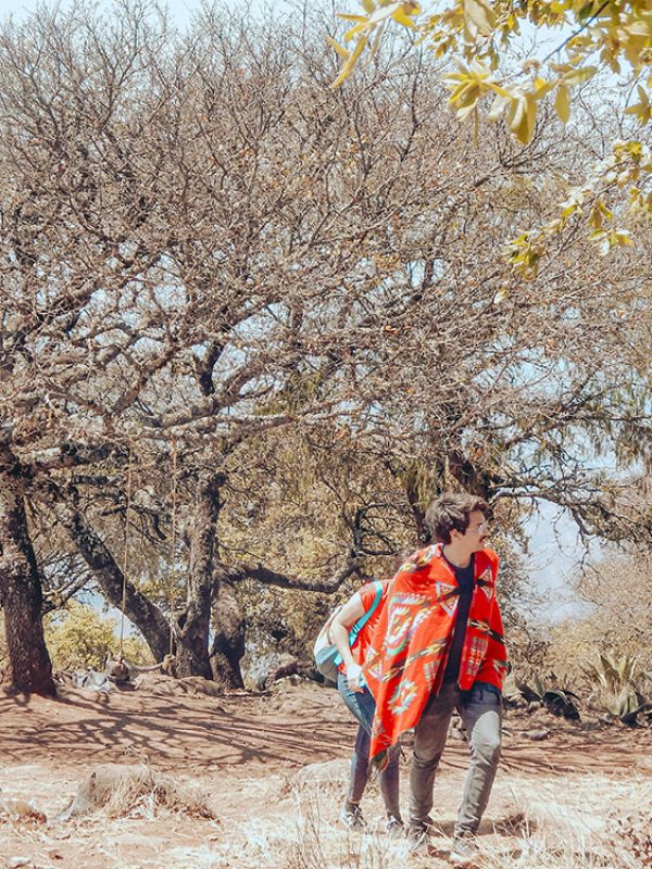 Mirador-4-palos-Plan-B-5-carrusel-galeria