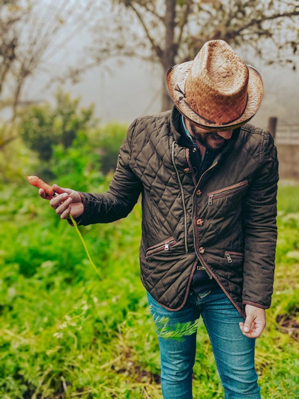 alimntacion-organica-carrusel-galeria