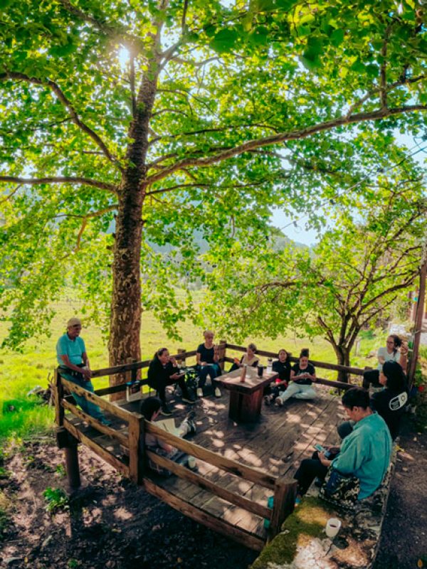 areas-en-comun-carrusel-galeria-1