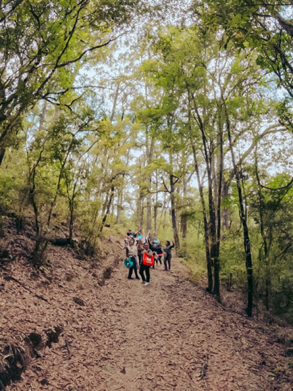 caminata-2-carrusel-galeria