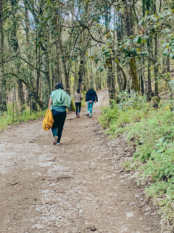 caminata-2-carrusel-galeria