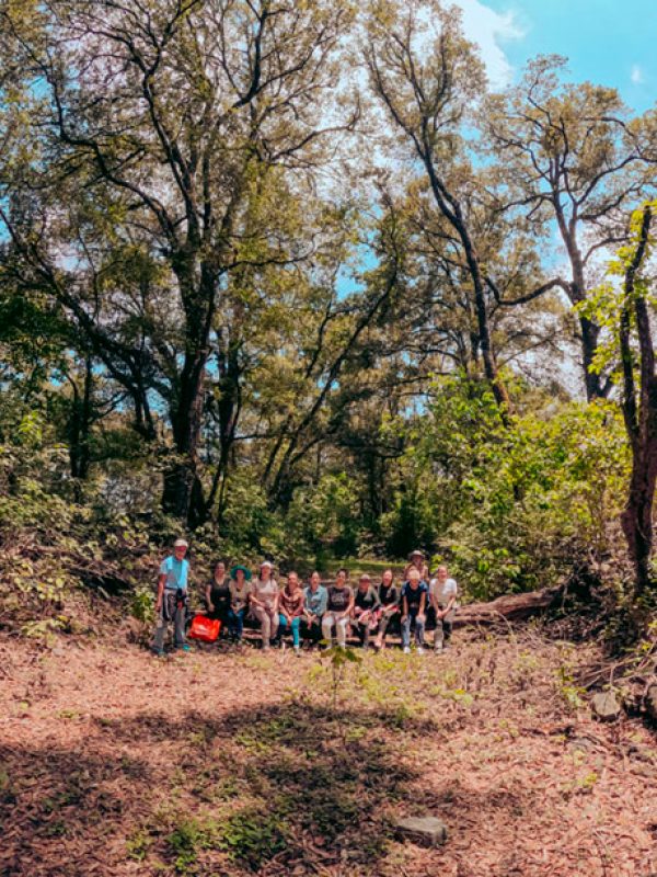 caminata-3-carrusel-galeria-1