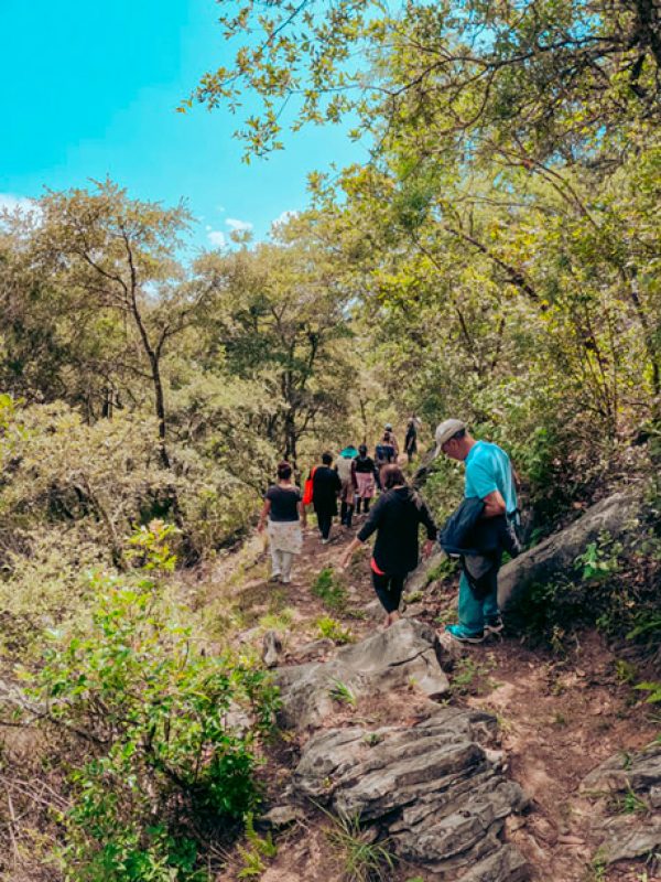 caminata-4-carrusel-galeria