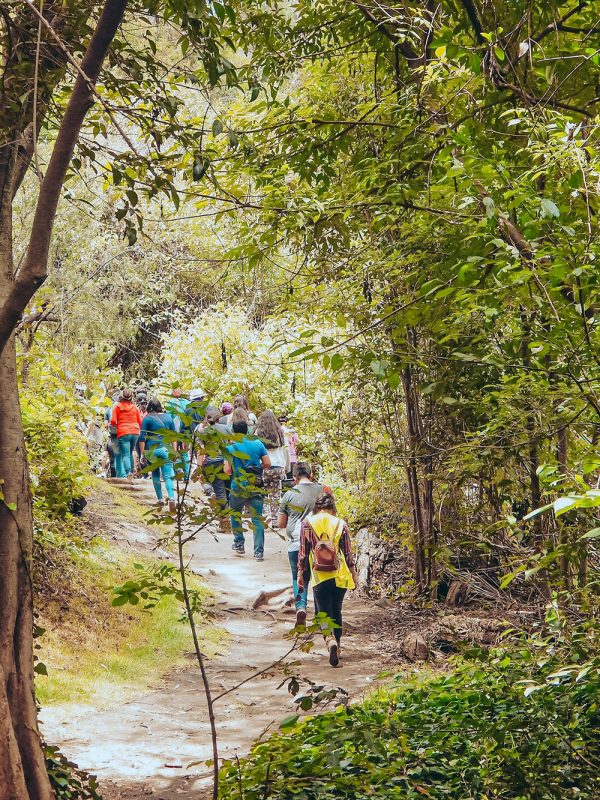 caminata-bcarrusel-galeria