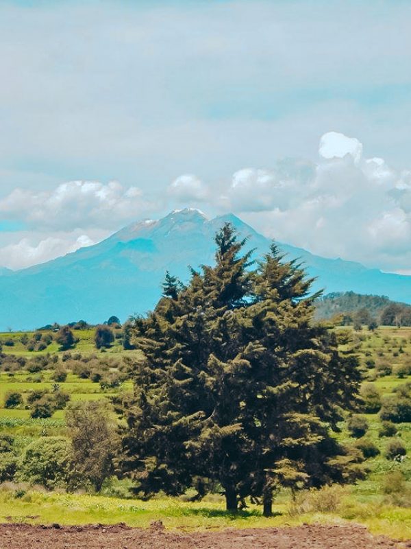 camino-galeria-carrusel