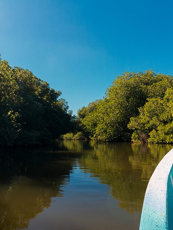 chacahua-lancha-carrusel-galeria