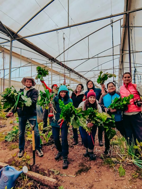 equipo-recoleccion-huerto-carrusel-galeria