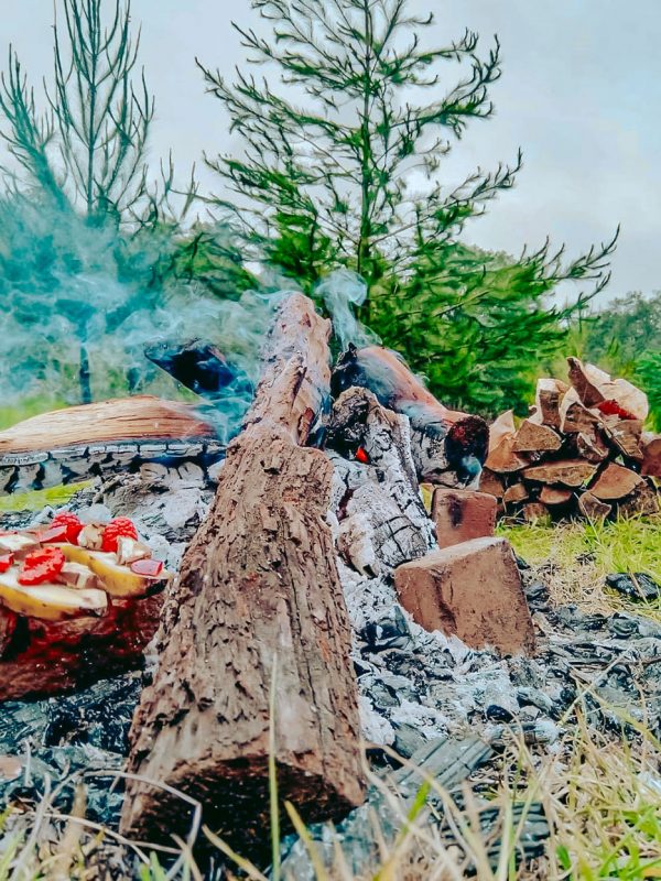 fogata-carrusel-galeria