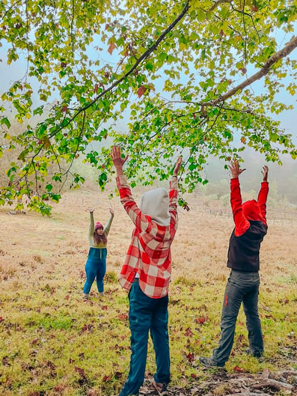 integracion-2-carrusel-galeria