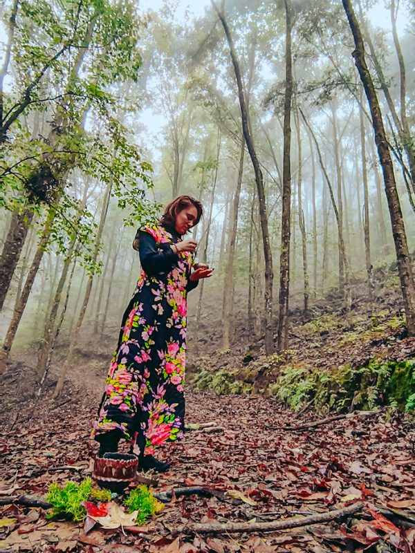 limpia-2-carrusel-galeria-1