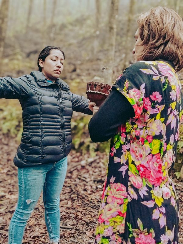 limpia-carrusel-galeria-1