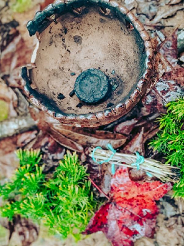 limpia-carrusel-galeria1