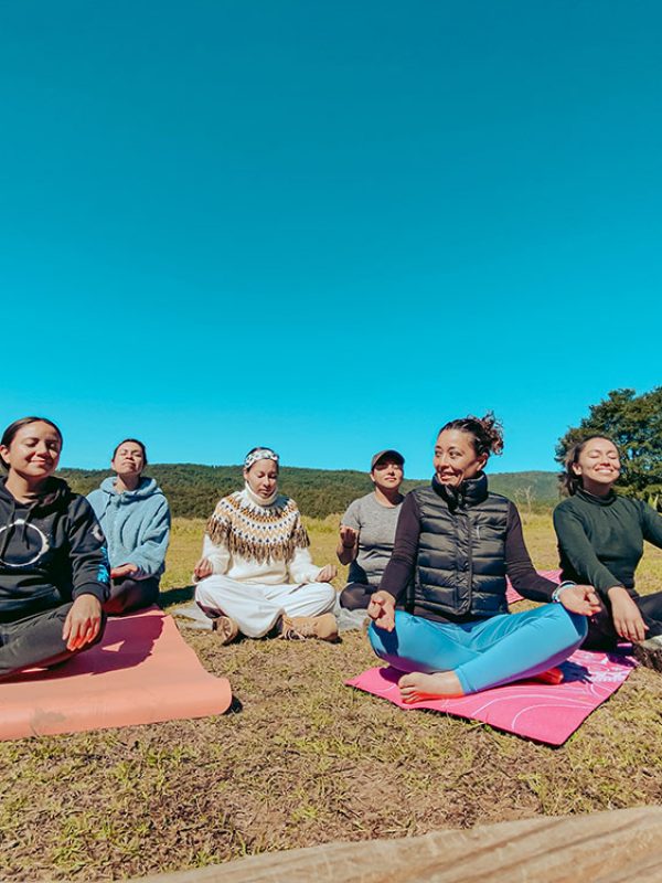 meditacion-carrusel-galeria