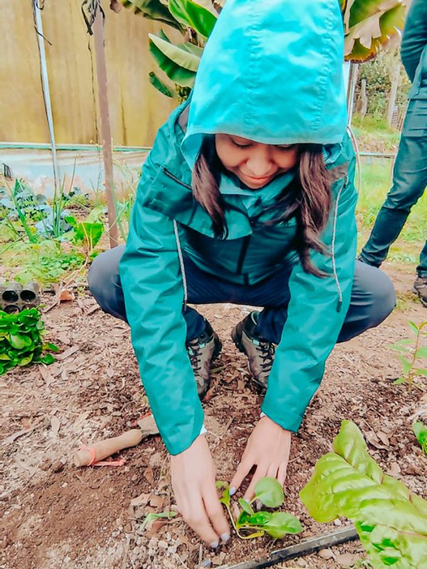 plantacion-huerto-carrusel-galeria