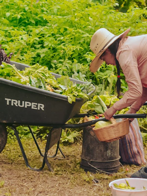 rancho-forma-de-vida-carrusel-galeria