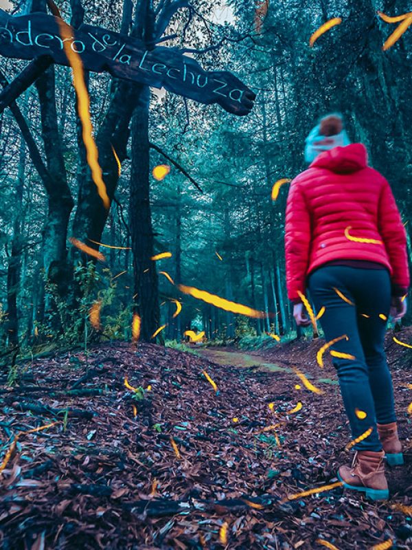 sendero-2-carrusel-galeria