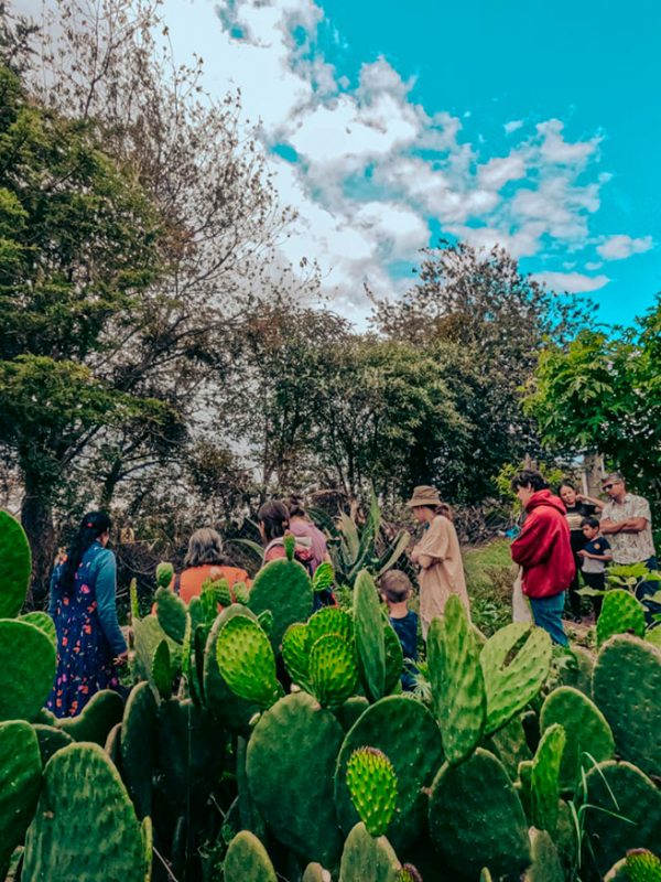 visita-casita-agroecologica-carrusel-galeria