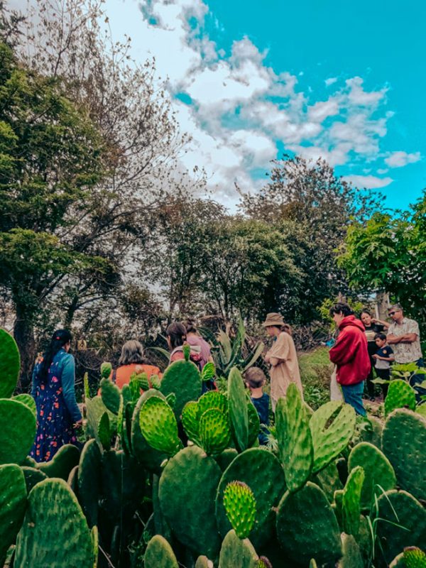 visita-casita-agroecologica-carrusel-galeria