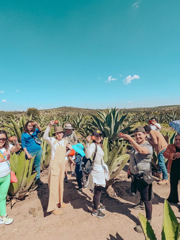 visita-pulquera-galeria-carrusel